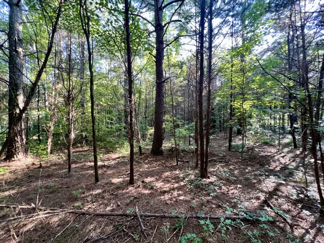 a view of outdoor space with trees