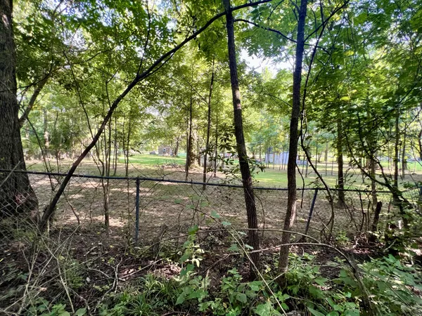 a view of a yard with a tree
