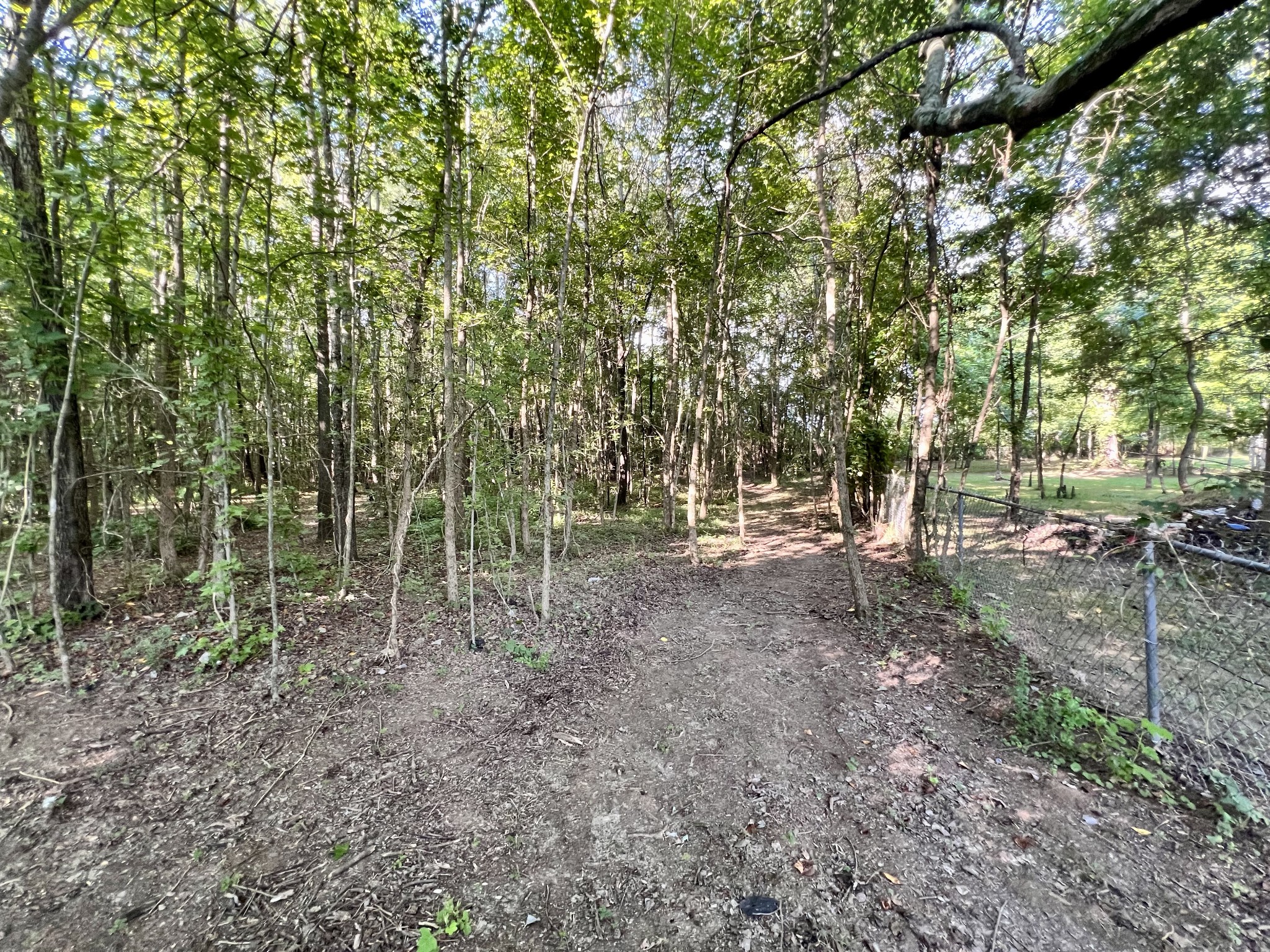 1020 Fall River Road Goodspring, TN 38460 - Photo 26 of 37 a view of outdoor space with trees
