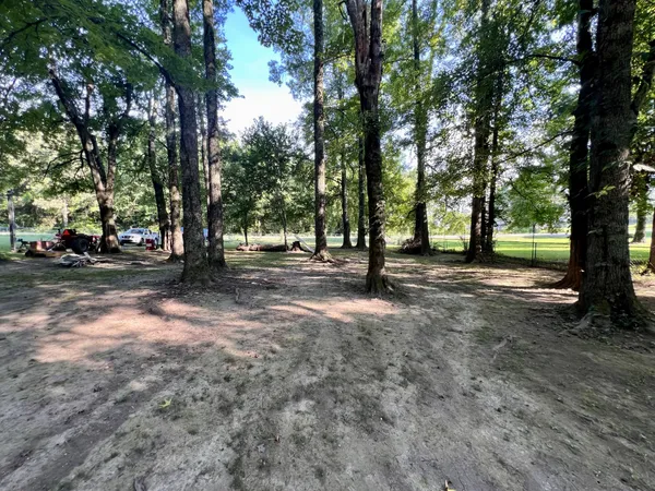 a view of a road with a big yard and a large trees
