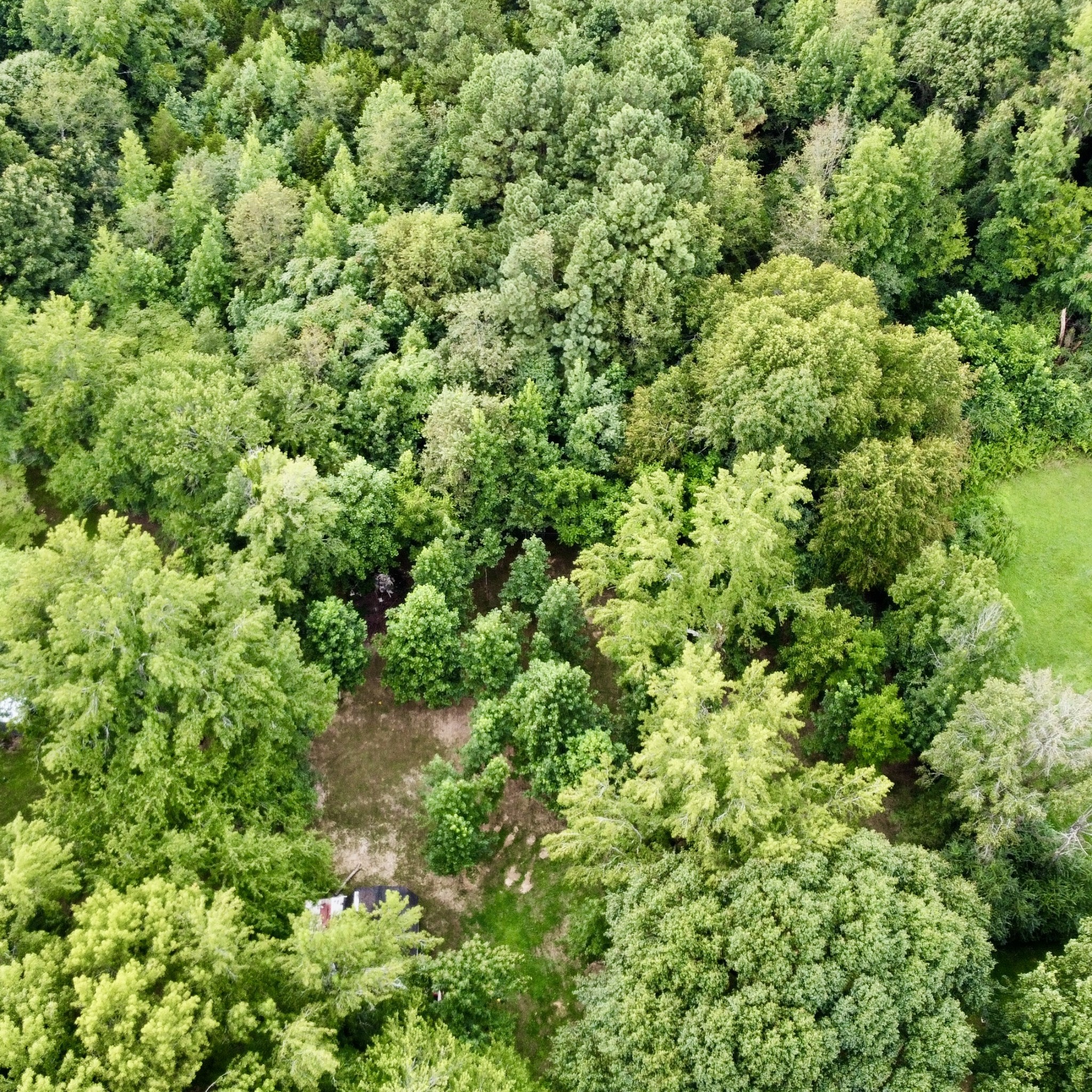 1020 Fall River Road Goodspring, TN 38460 - Photo 33 of 37 an aerial view of residential house with outdoor space and trees all around