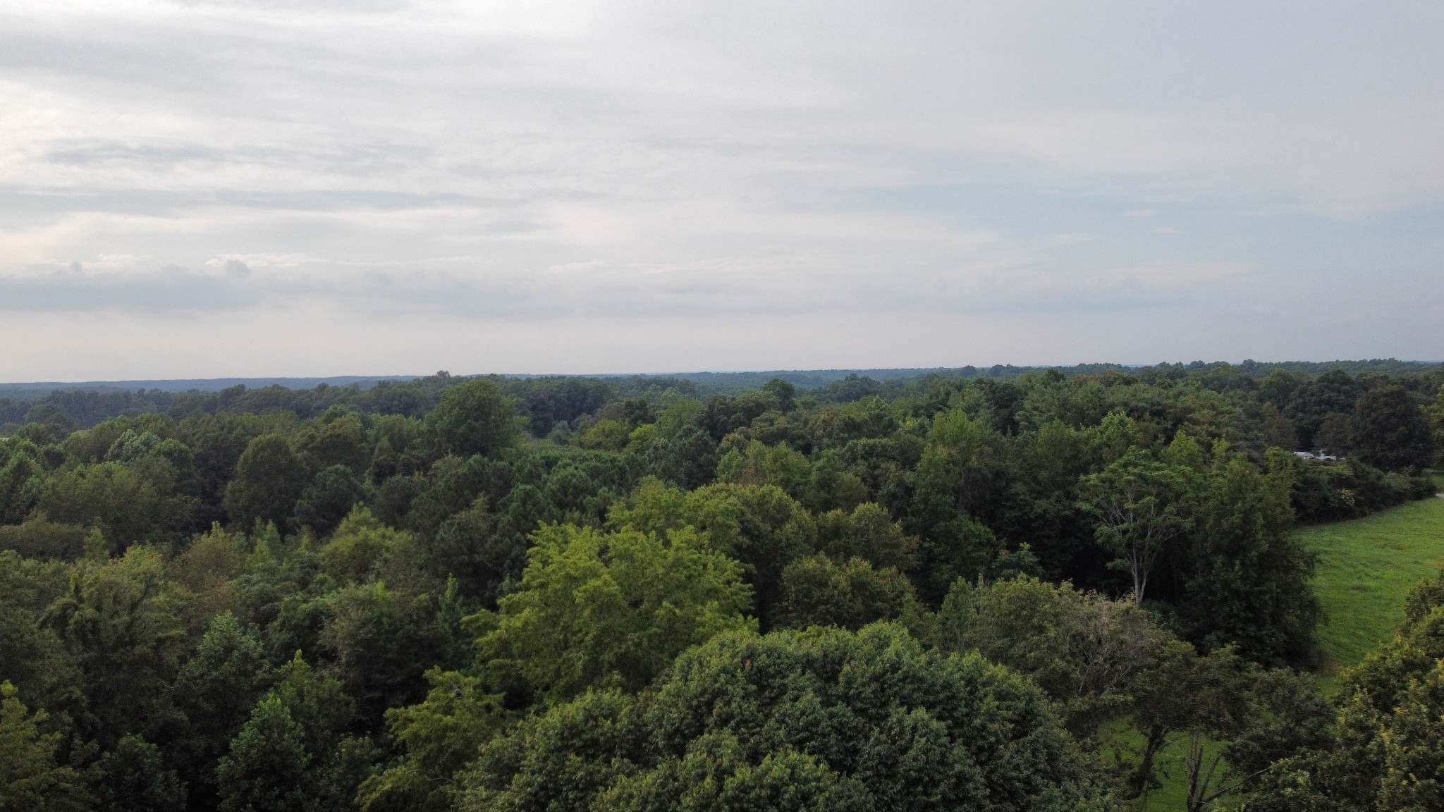 1020 Fall River Road Goodspring, TN 38460 - Photo 34 of 37 an aerial view of a city and mountain with mountains in the background