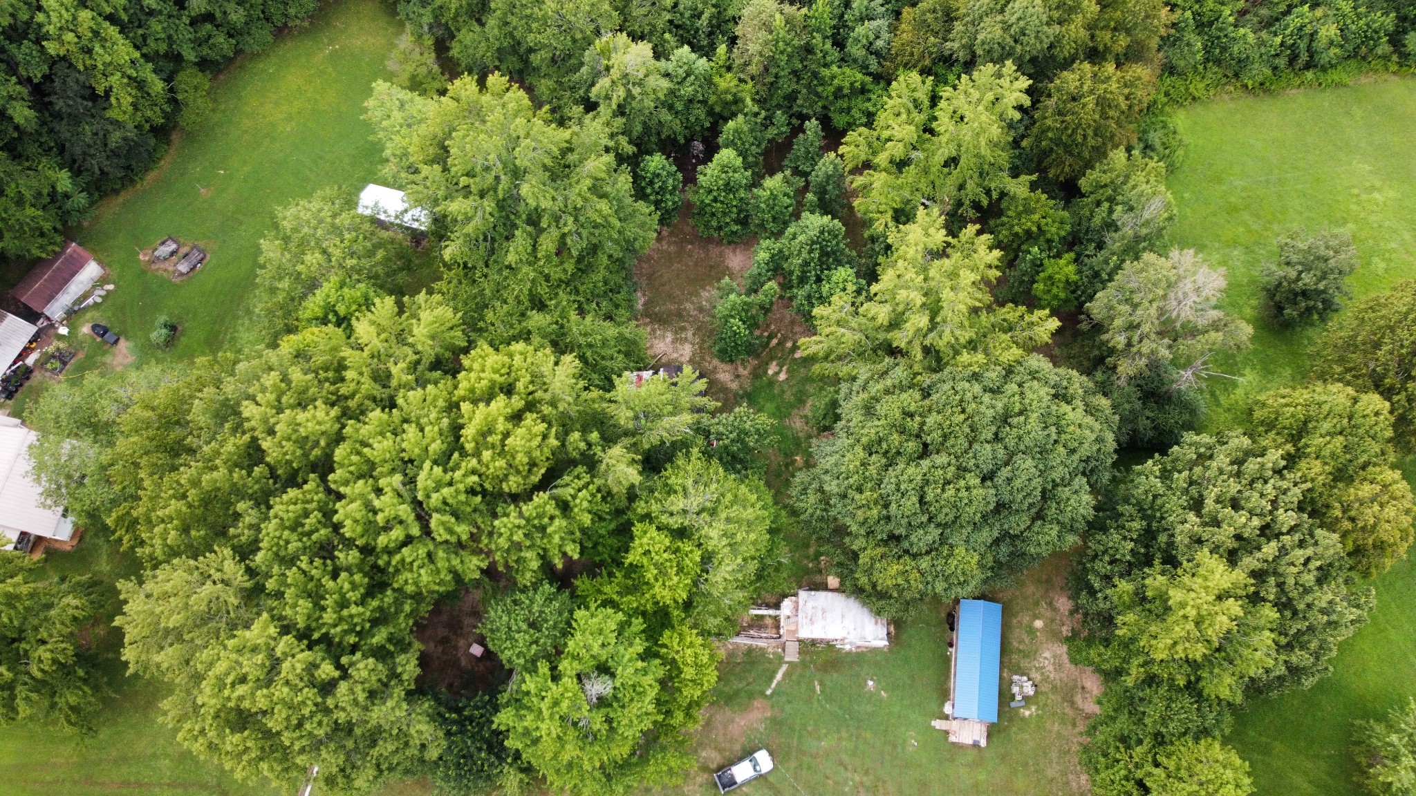 1020 Fall River Road Goodspring, TN 38460 - Photo 36 of 37 a view of yard from outdoor space