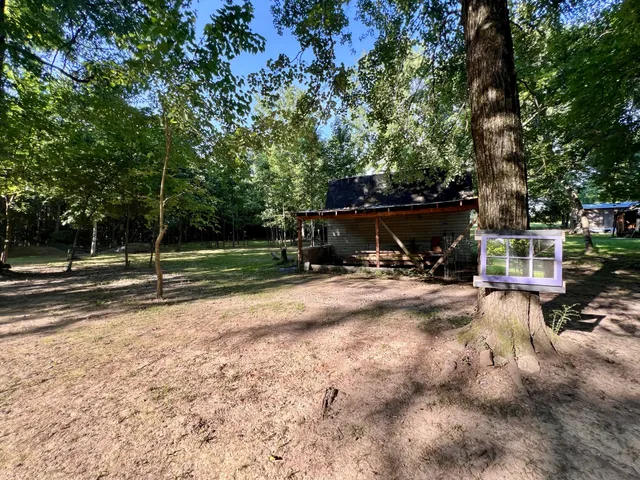 a view of a park with large trees