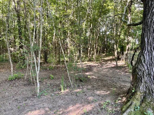 a view of outdoor space with trees