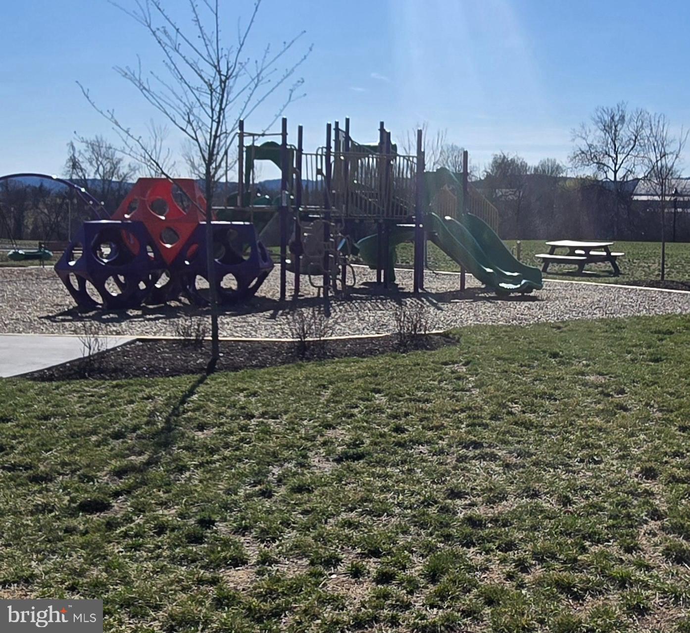 6005 Calla Place Frederick, MD 21703 - Photo 30 of 30 a view of a large tree in front of a house