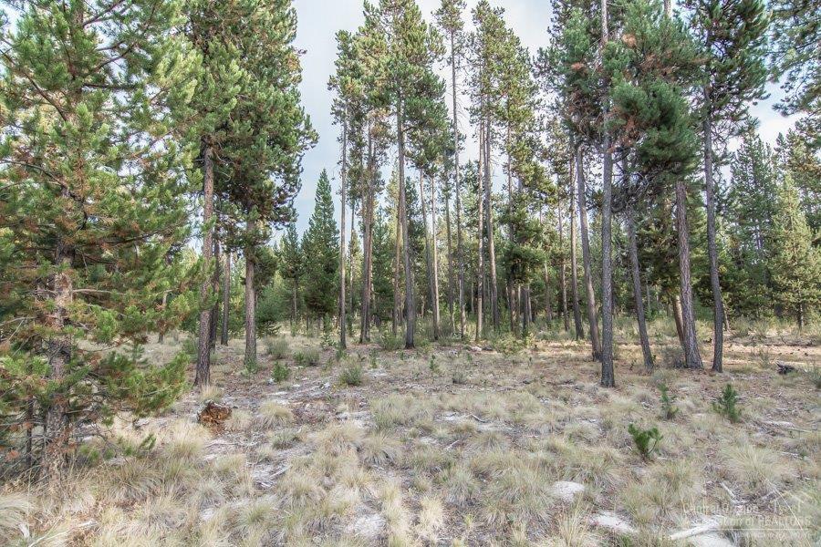 56456 Sunstone Loop Bend, OR 97707 - Photo 15 of 15 Additional Photo