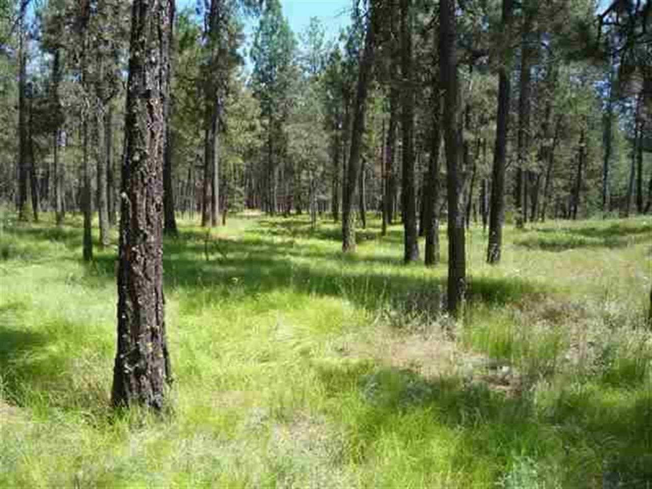 12206 South Sherman Road, Unit PARCEL 2 Spokane, WA 99224 - Photo 1 of 20