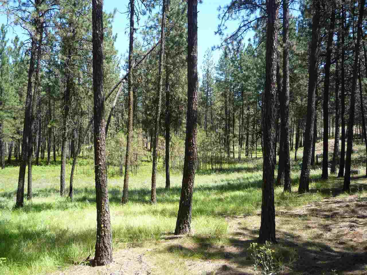 12206 South Sherman Road, Unit PARCEL 2 Spokane, WA 99224 - Photo 2 of 20