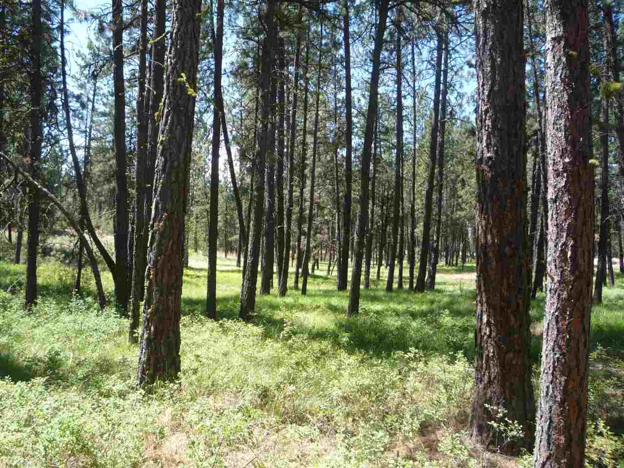 12206 South Sherman Road, Unit PARCEL 2 Spokane, WA 99224 - Photo 12 of 20