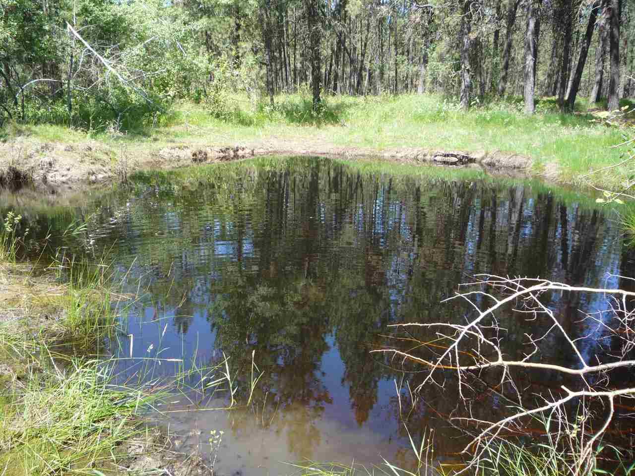 12206 South Sherman Road, Unit PARCEL 2 Spokane, WA 99224 - Photo 13 of 20
