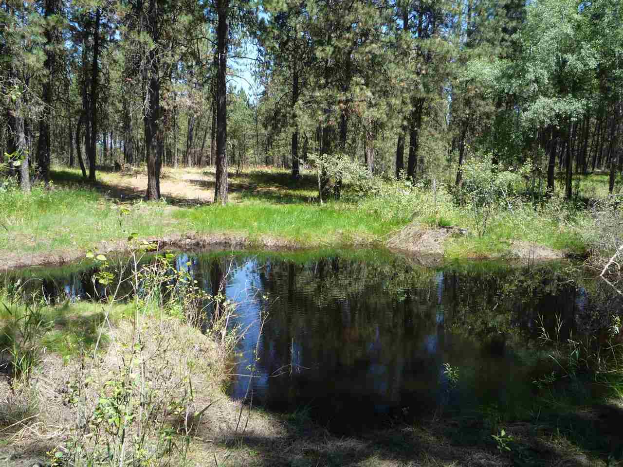 12206 South Sherman Road, Unit PARCEL 2 Spokane, WA 99224 - Photo 14 of 20