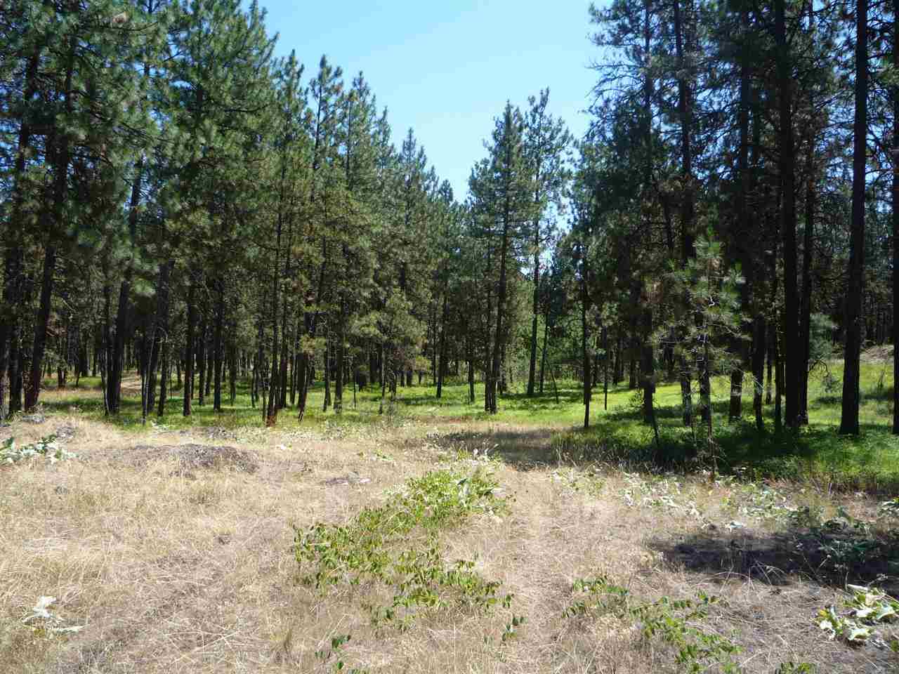 12206 South Sherman Road, Unit PARCEL 2 Spokane, WA 99224 - Photo 15 of 20
