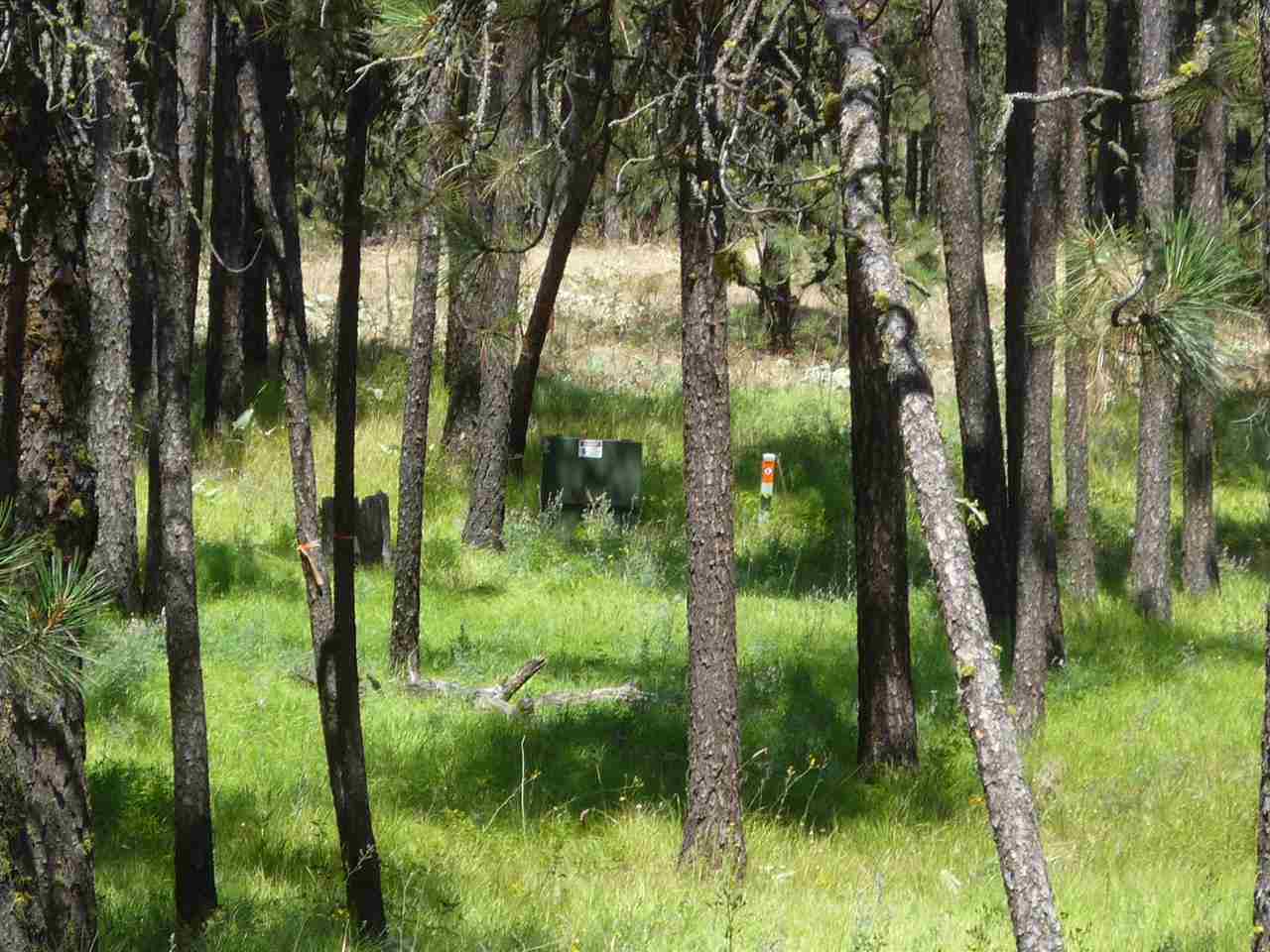 12206 South Sherman Road, Unit PARCEL 2 Spokane, WA 99224 - Photo 16 of 20