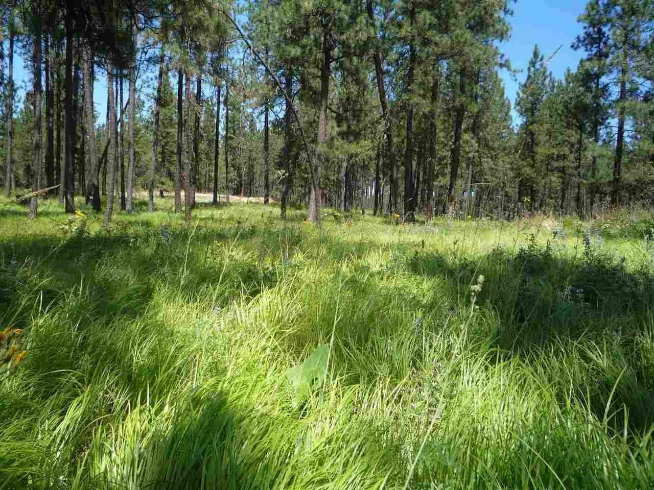 12206 South Sherman Road, Unit PARCEL 2 Spokane, WA 99224 - Photo 17 of 20