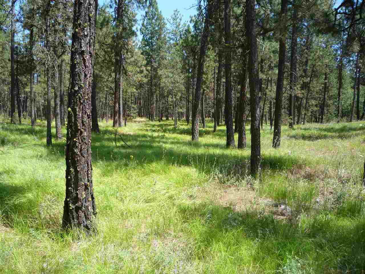 12206 South Sherman Road, Unit PARCEL 2 Spokane, WA 99224 - Photo 19 of 20