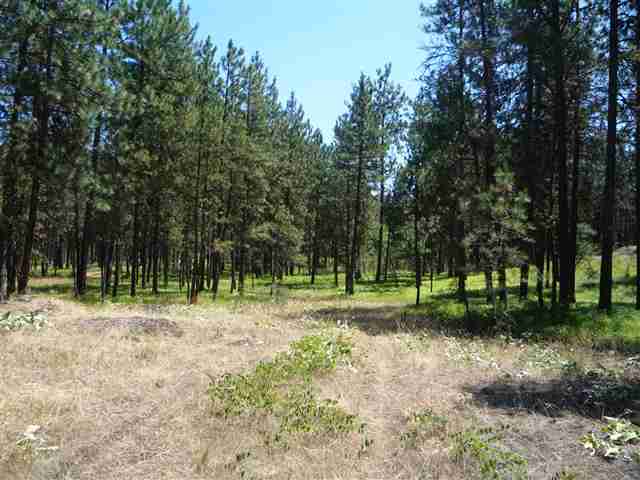 12206 South Sherman Road, Unit PARCEL 2 Spokane, WA 99224 - Photo 3 of 20