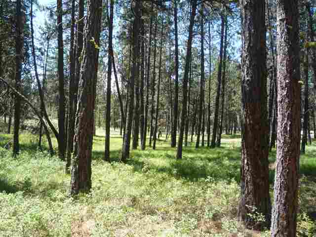 12206 South Sherman Road, Unit PARCEL 2 Spokane, WA 99224 - Photo 4 of 20