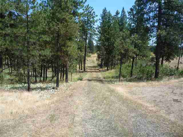 12206 South Sherman Road, Unit PARCEL 2 Spokane, WA 99224 - Photo 5 of 20