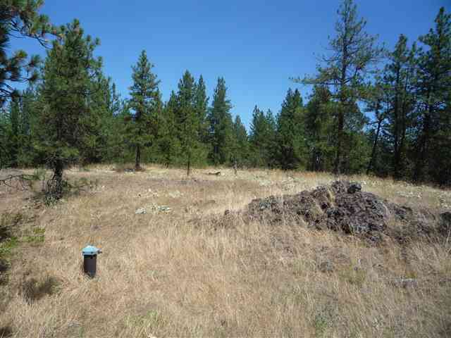 12206 South Sherman Road, Unit PARCEL 2 Spokane, WA 99224 - Photo 7 of 20