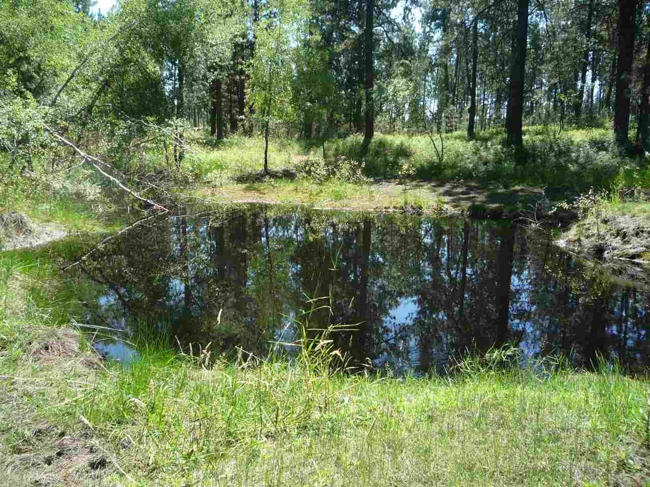 12206 South Sherman Road, Unit PARCEL 2 Spokane, WA 99224 - Photo 9 of 20
