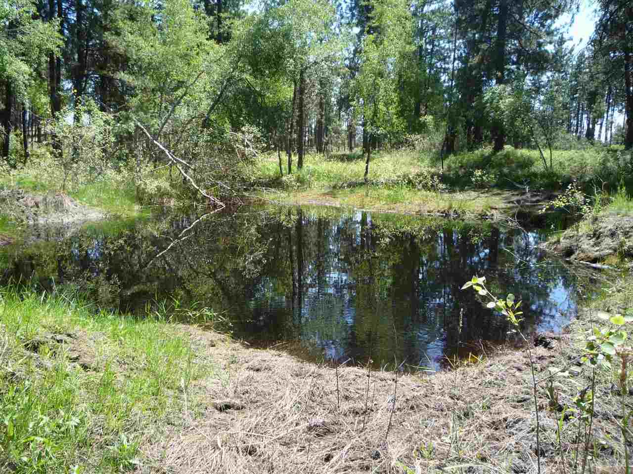 12206 South Sherman Road, Unit PARCEL 2 Spokane, WA 99224 - Photo 10 of 20
