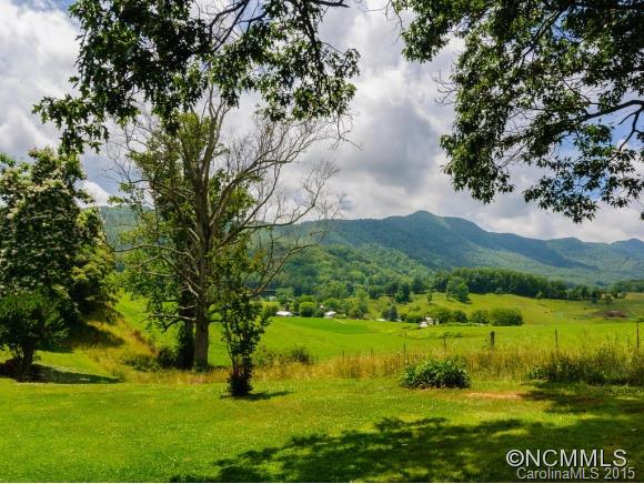 29 Morgan Branch Road Leicester, NC 28748 - Photo 22 of 24