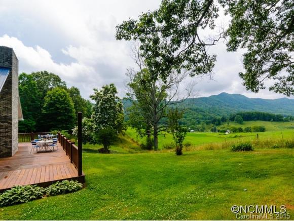 29 Morgan Branch Road Leicester, NC 28748 - Photo 5 of 24
