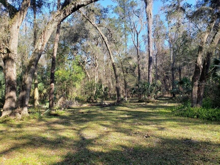 2929 Southwest 2 Court Gainesville, FL 32601 - Photo 1 of 8