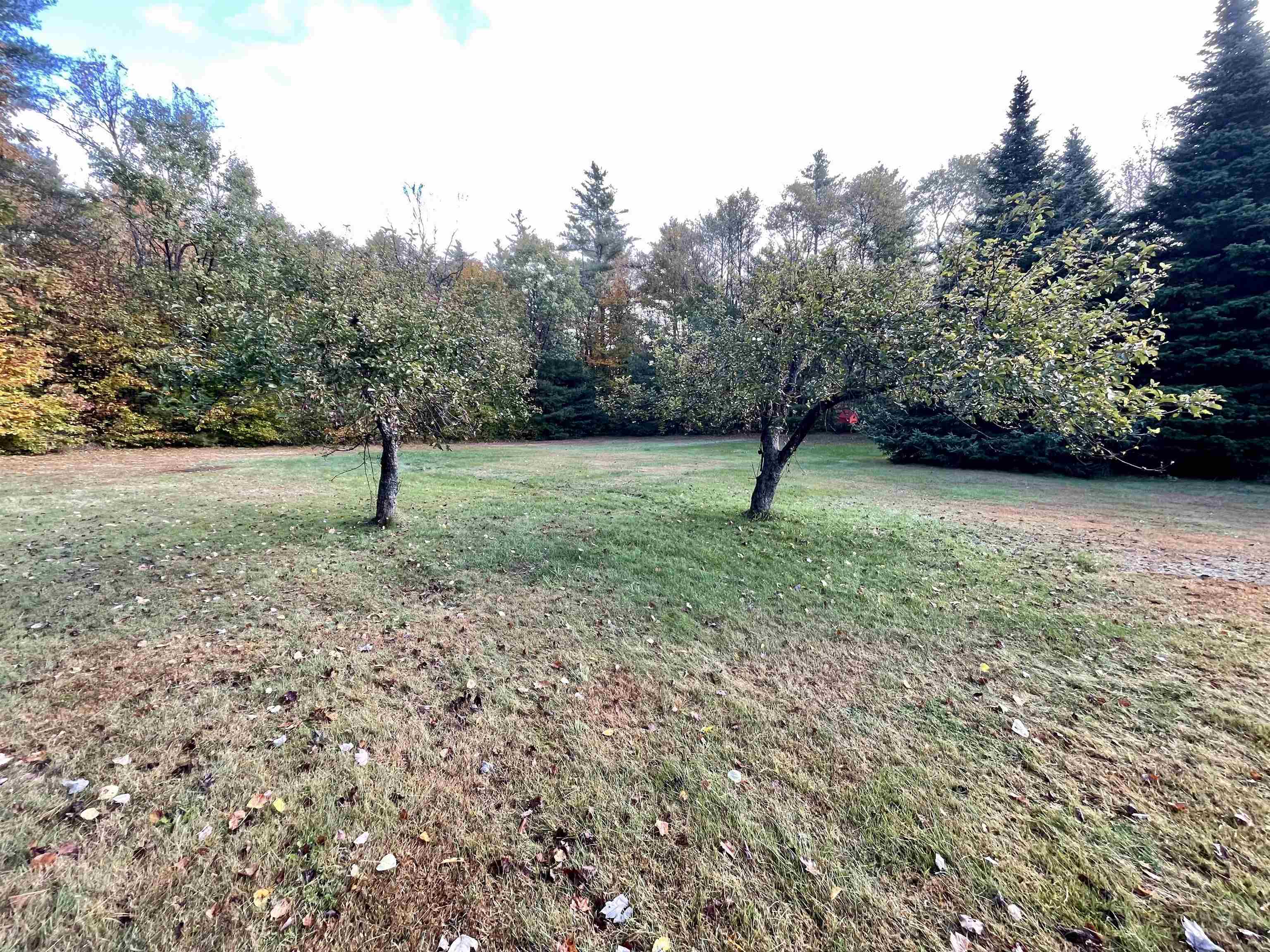 42 Nash Corner Road Gilsum, NH 03448 - Photo 32 of 39