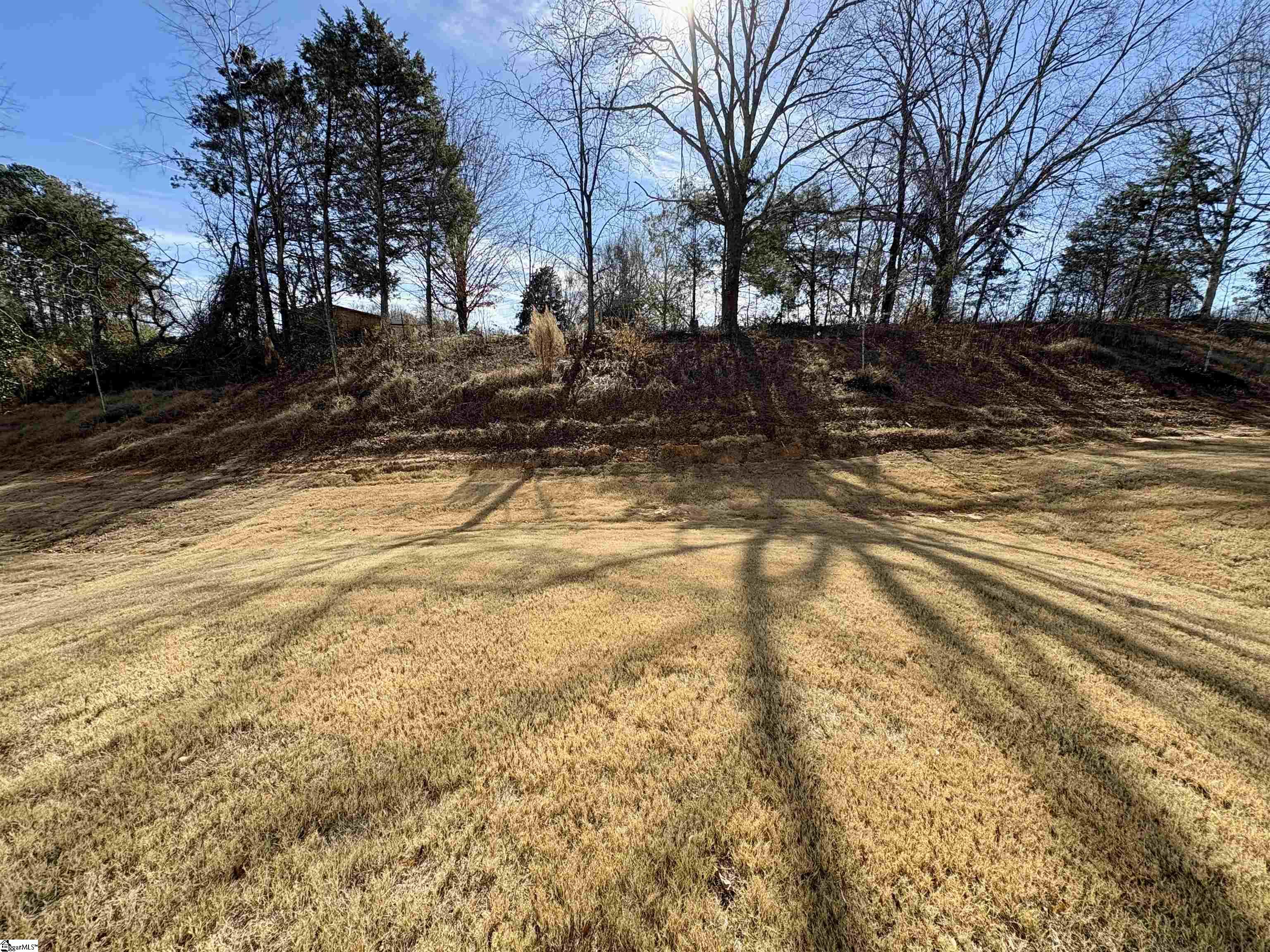 206 Nicolet Place Simpsonville, SC 29681 - Photo 26 of 36