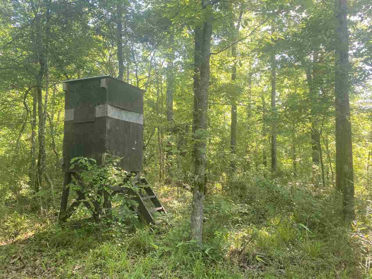1201 Damascus Road, Unit O Durant, MS 39063 - Photo 11 of 50 Photo 11