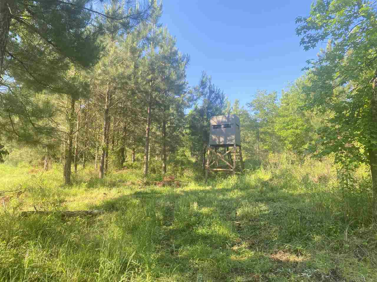 1201 Damascus Road, Unit O Durant, MS 39063 - Photo 9 of 50 Photo 9