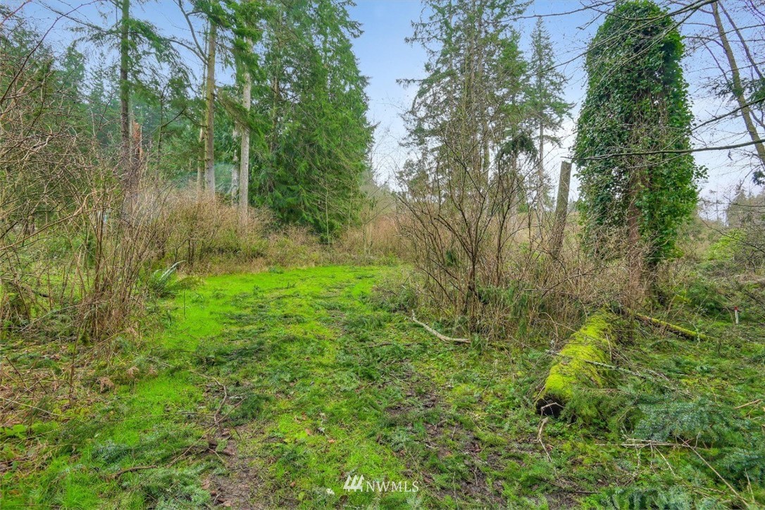 3714 Saratoga Road Langley, WA 98260 - Photo 11 of 13 Gallery Image 11