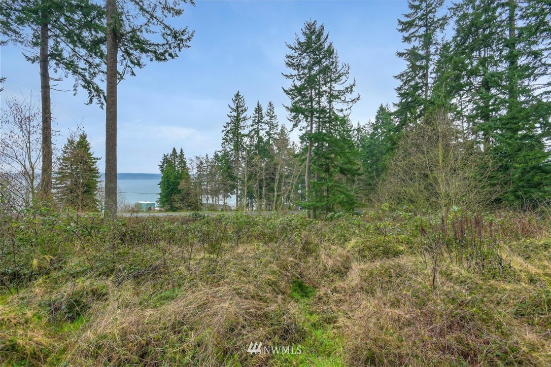 3714 Saratoga Road Langley, WA 98260 - Photo 4 of 13 Gallery Image 4