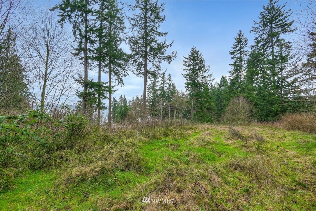 3714 Saratoga Road Langley, WA 98260 - Photo 5 of 13 Gallery Image 5