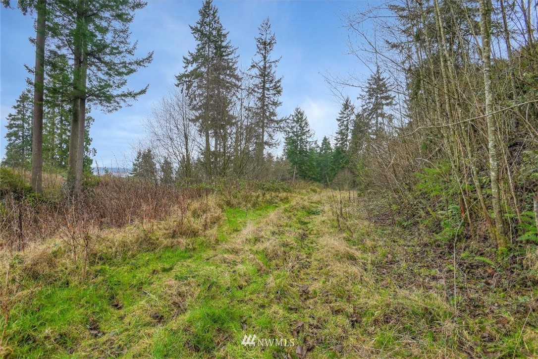 3714 Saratoga Road Langley, WA 98260 - Photo 6 of 13 Gallery Image 6