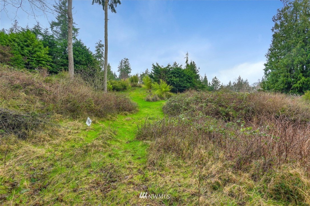 3714 Saratoga Road Langley, WA 98260 - Photo 7 of 13 Gallery Image 7