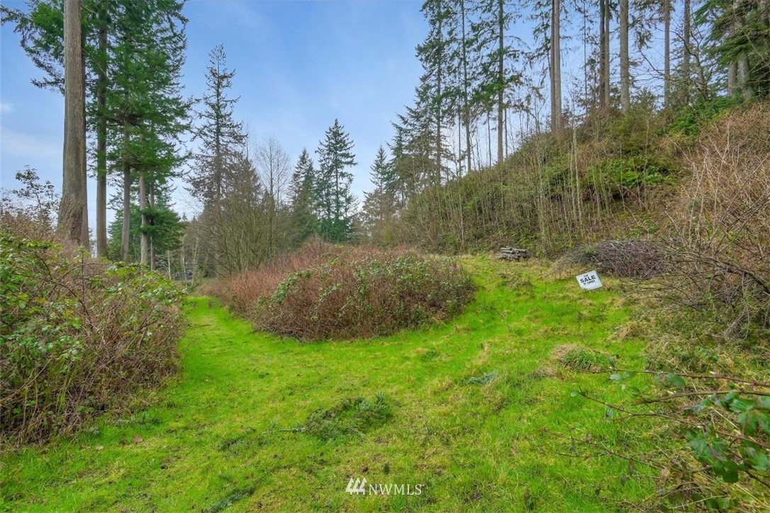 3714 Saratoga Road Langley, WA 98260 - Photo 8 of 13 Gallery Image 8