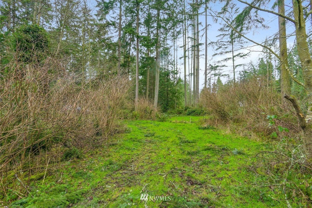 3714 Saratoga Road Langley, WA 98260 - Photo 10 of 13 Gallery Image 10