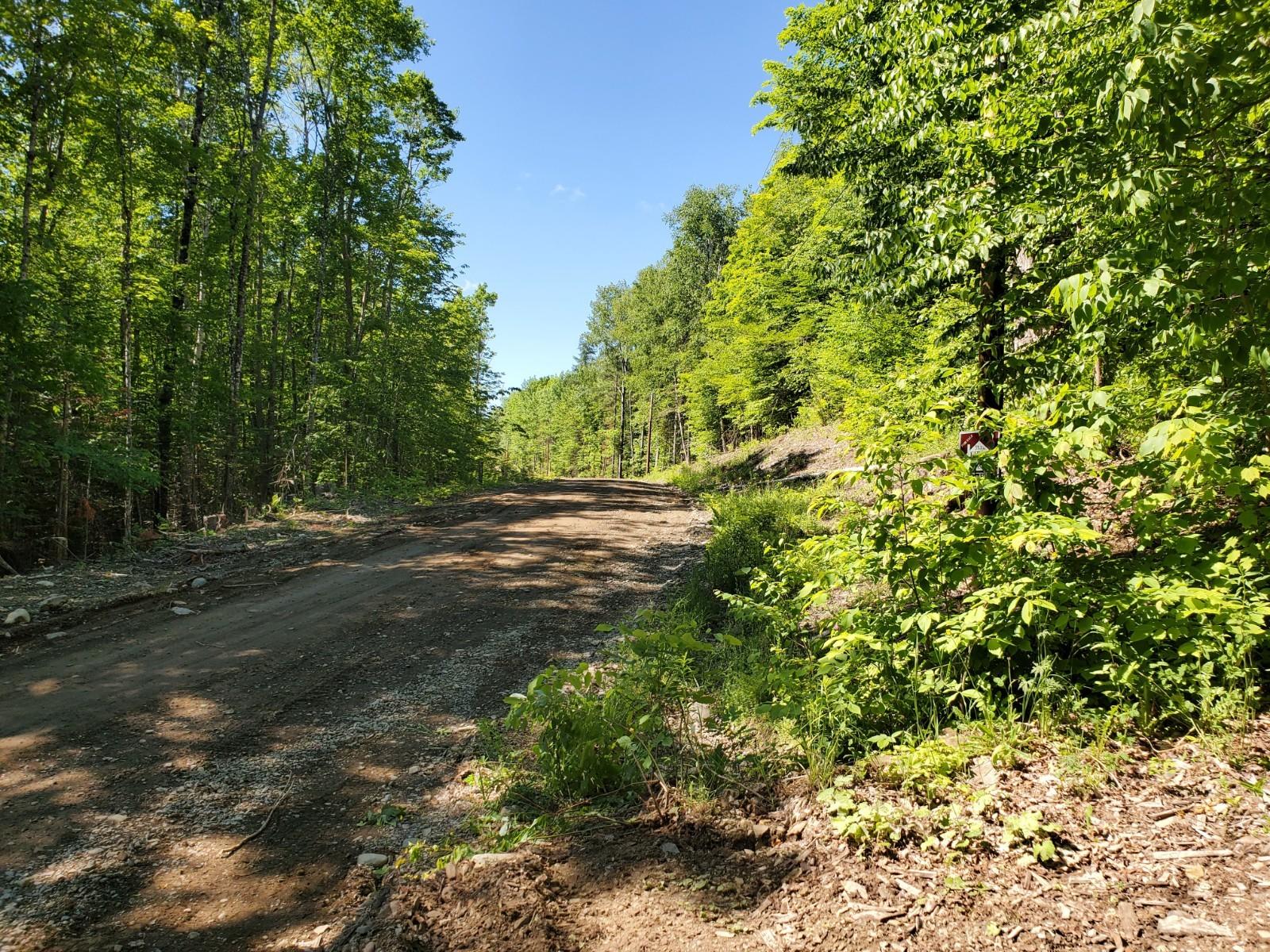 257 Brown Road Oakfield, ME 04763 - Photo 2 of 9 20210616_094106