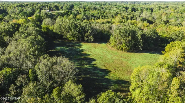 a view of a garden with a building