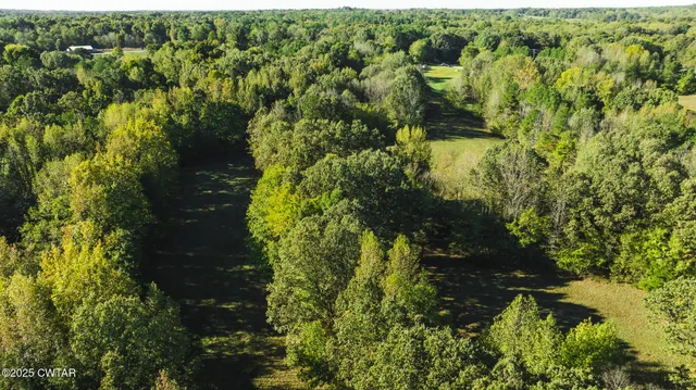 an aerial view of a residential houses with yard