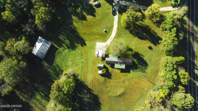 a view of a garden with plants