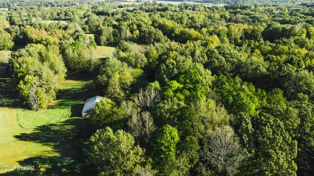 a view of a swimming pool and a yard