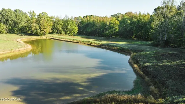 a view of swimming pool with a garden