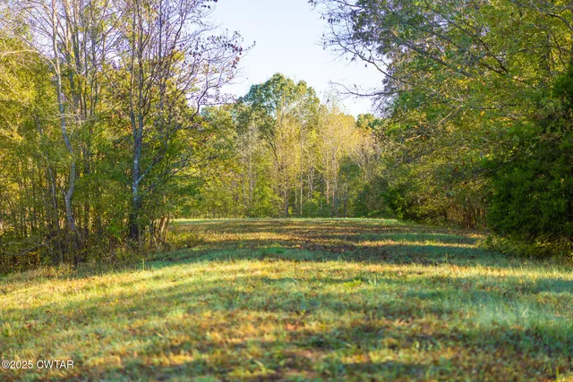 a view of backyard with swimming pool