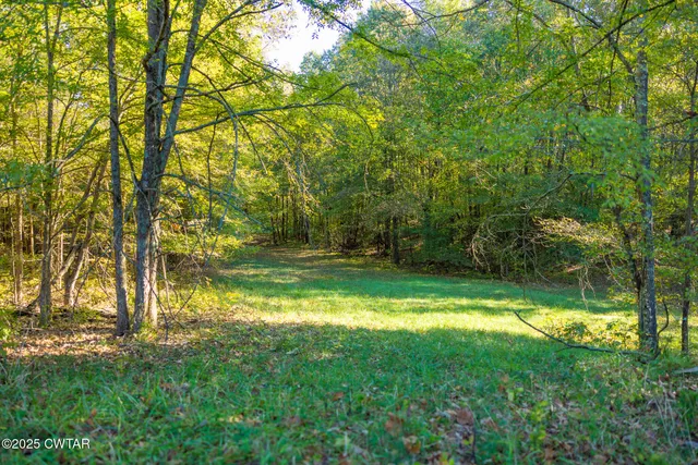 a yard with trees in the background