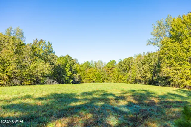 a view of a green field with clear sky