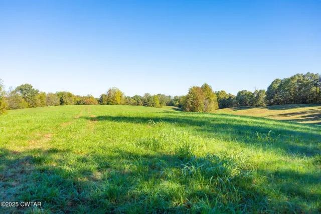 a view of swimming pool with a yard